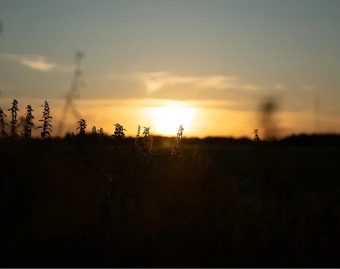 Vorschaubild: Landschaft 1